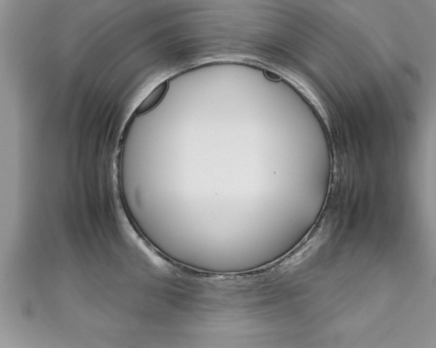 X0000111190906200907011006