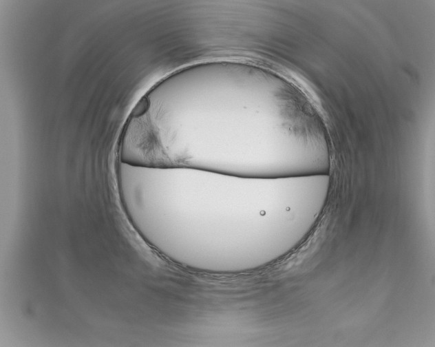 X0000111190907200907011006