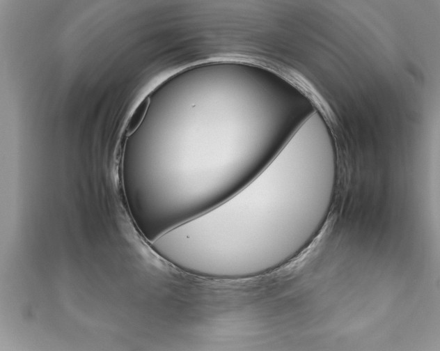 X0000111190908200907011006