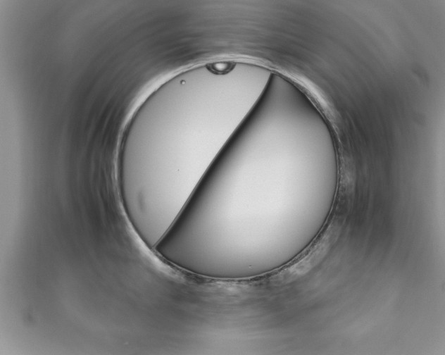 X0000111190910200907011006