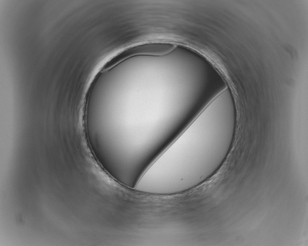 X0000111190912200907011006