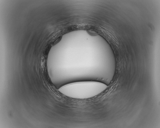 X0000111190914200907011006