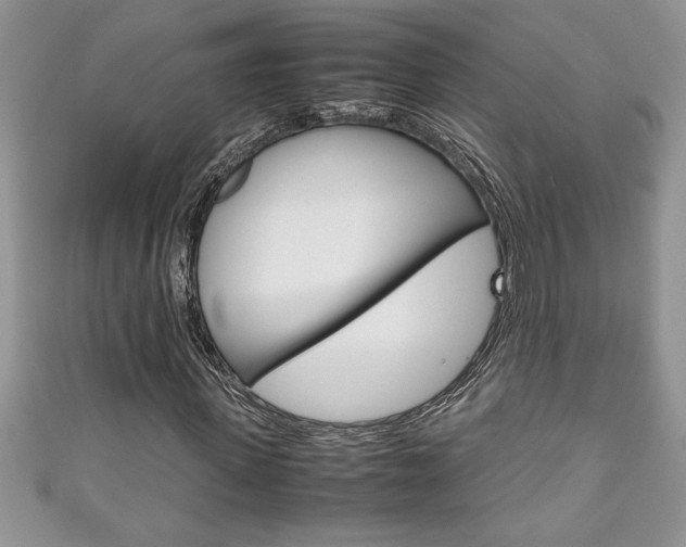 X0000111190915200907011006