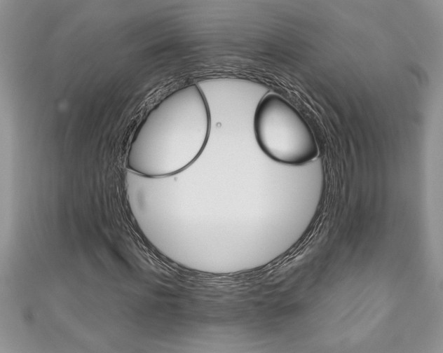 X0000111190916200907011006