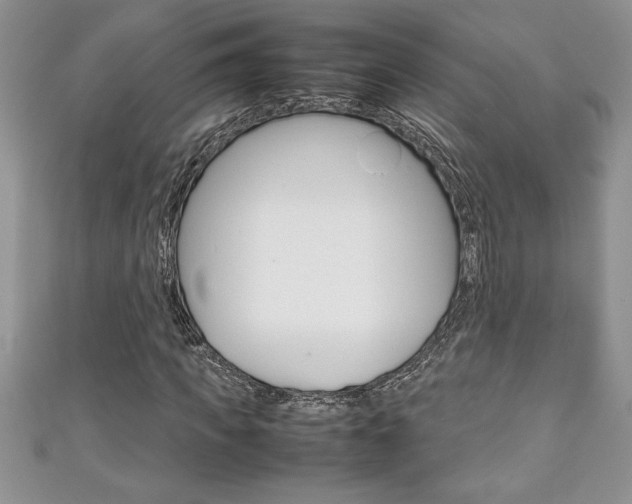 X0000111190917200907011006
