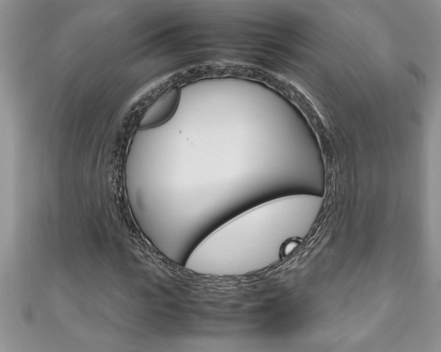 X0000111190919200907011006