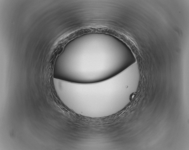 X0000111190920200907011006