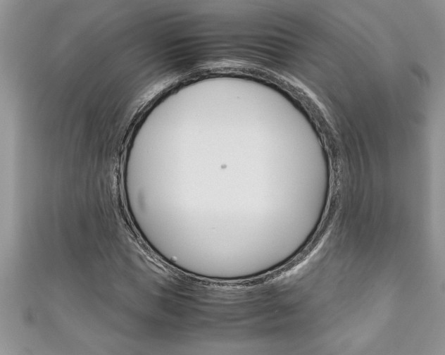 X0000111190921200907011006