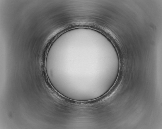 X0000111190922200907011006
