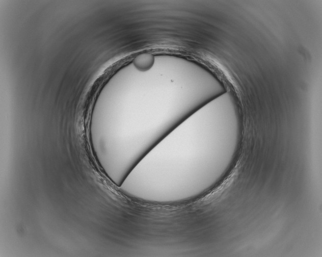 X0000111190923200907011006