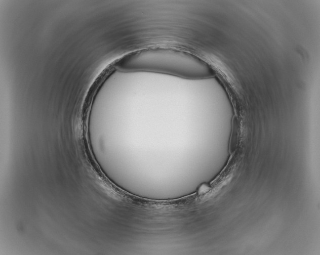 X0000111190924200907011006