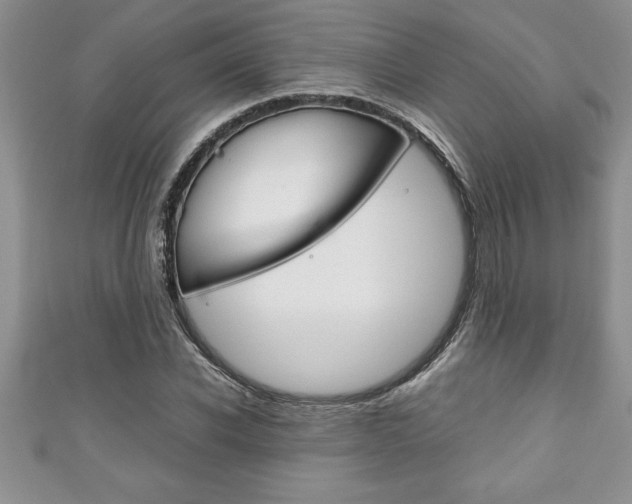 X0000111190926200907011006
