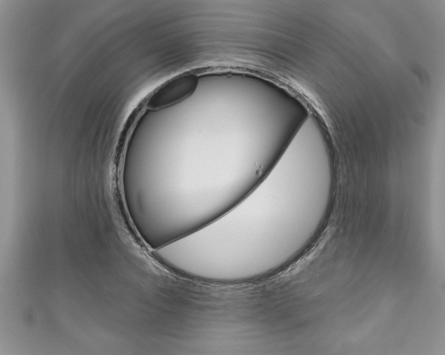 X0000111190928200907011006