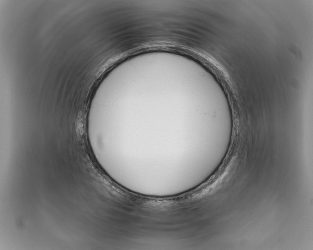 X0000111190929200907011006
