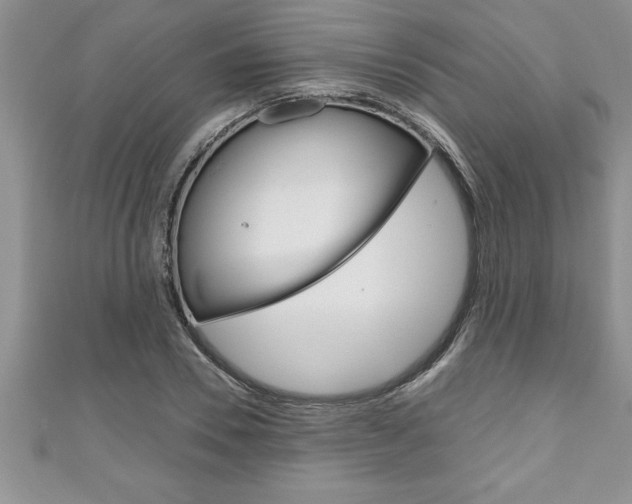X0000111190930200907011006