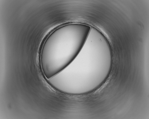 X0000111190932200907011006