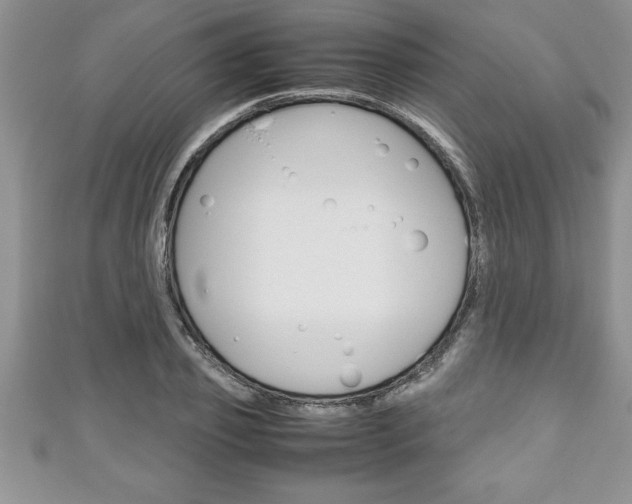X0000111190933200907011006