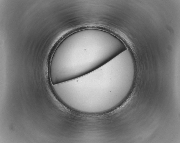 X0000111190934200907011006