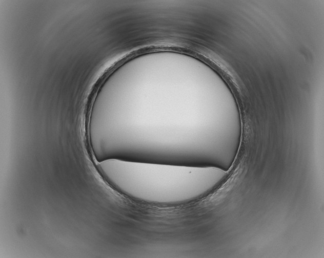 X0000111190935200907011006