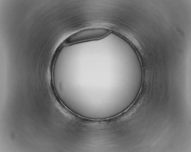 X0000111190936200907011006