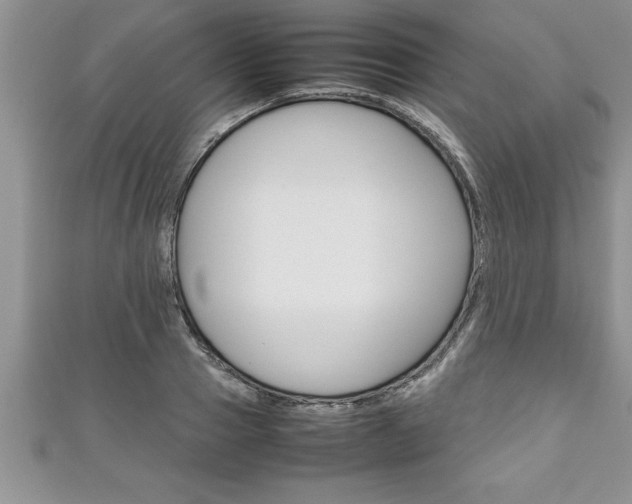 X0000111190937200907011006