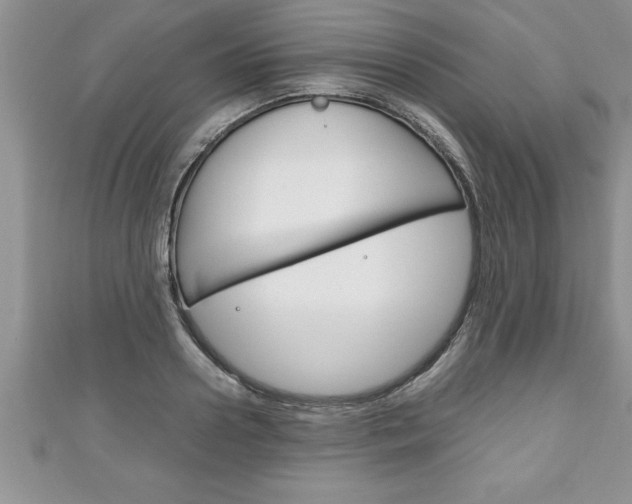 X0000111190938200907011006