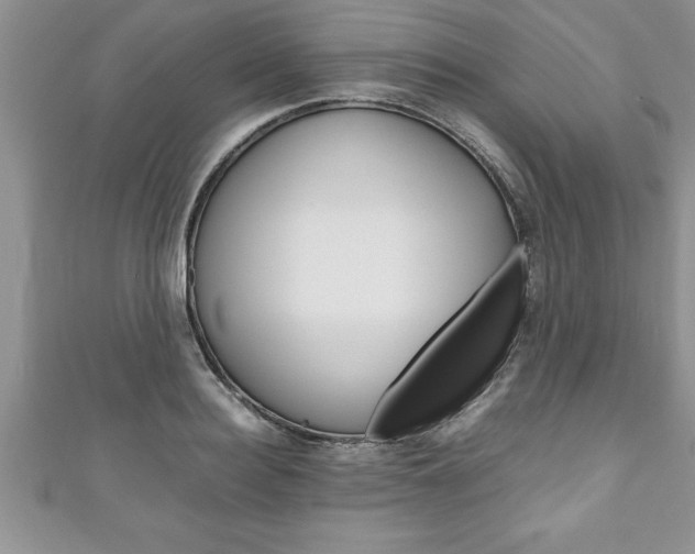 X0000111190940200907011006