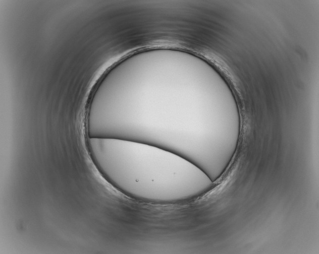 X0000111190941200907011006