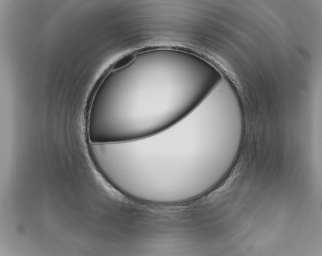 X0000111190942200907011006