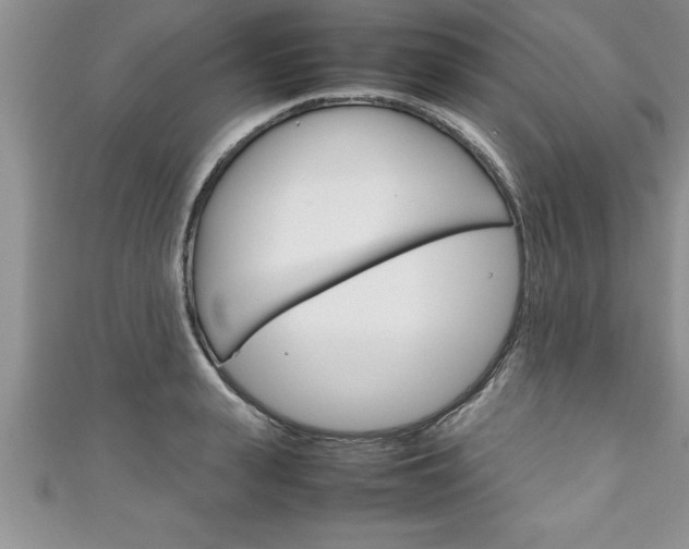 X0000111190943200907011006