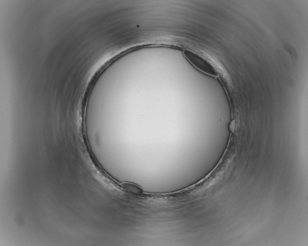 X0000111190944200907011006