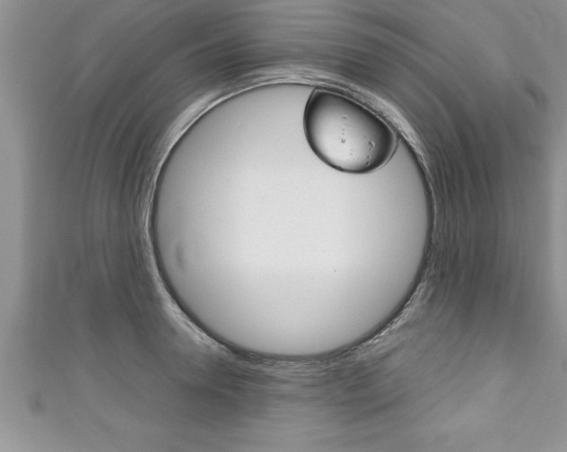 X0000111190946200907011006