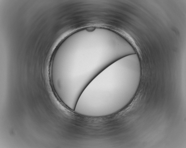 X0000111190947200907011006