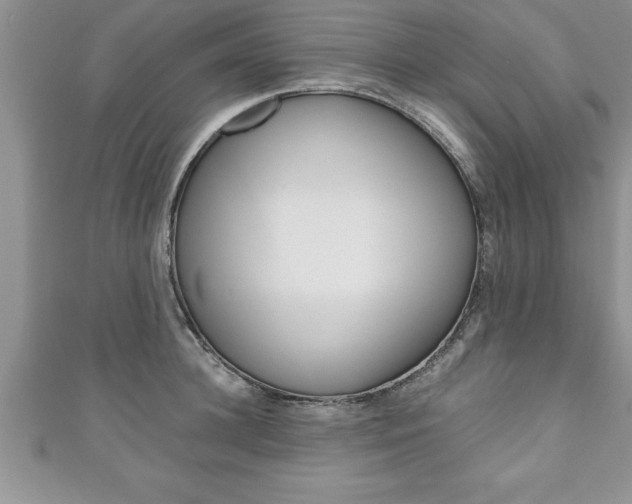 X0000111190948200907011006