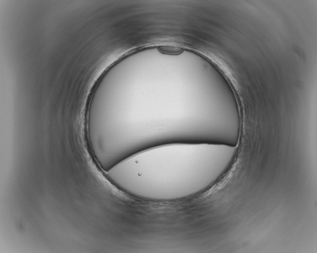 X0000111190949200907011006