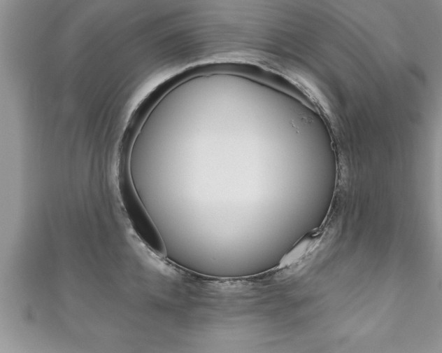 X0000111190952200907011006