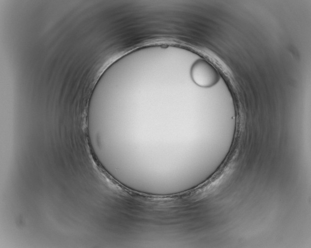 X0000111190953200907011006
