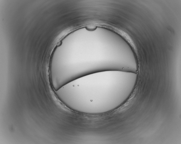 X0000111190954200907011006