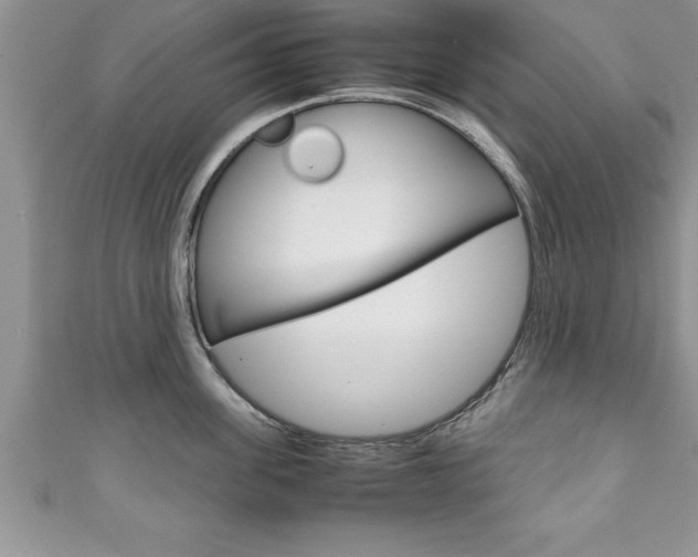 X0000111190955200907011006