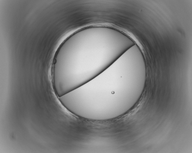 X0000111190959200907011006