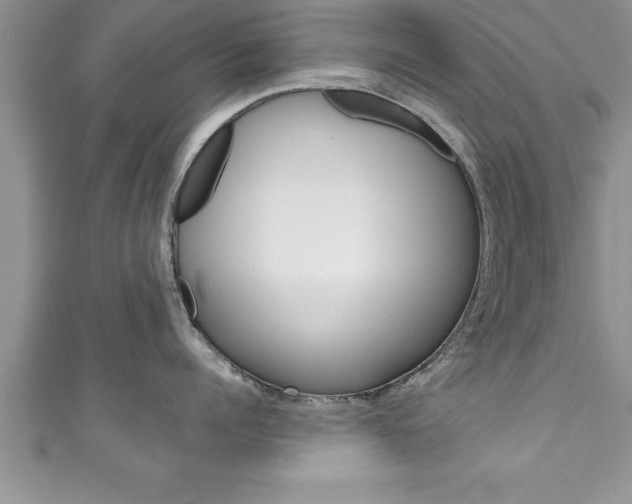 X0000111190960200907011006