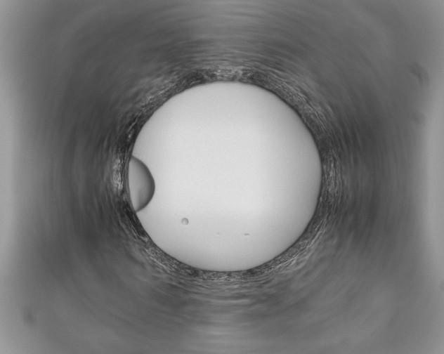 X0000111190962200907011006