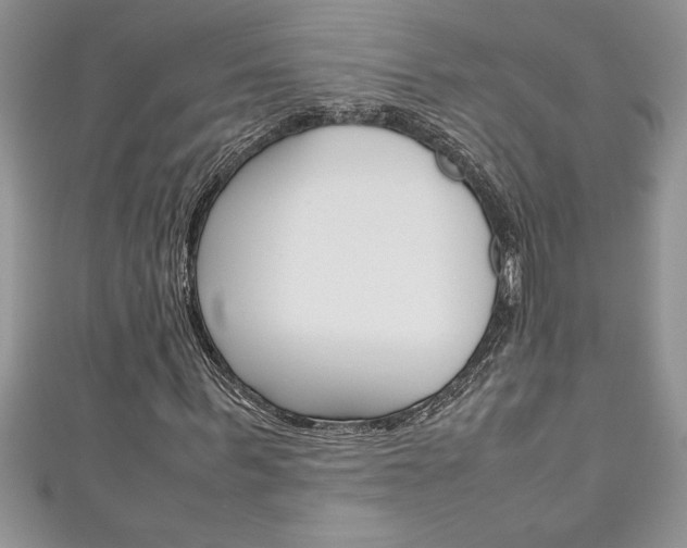 X0000111190963200907011006
