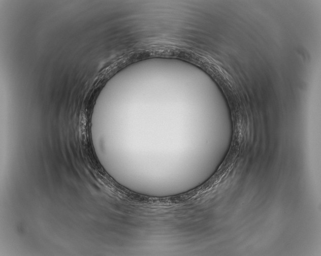 X0000111190964200907011006