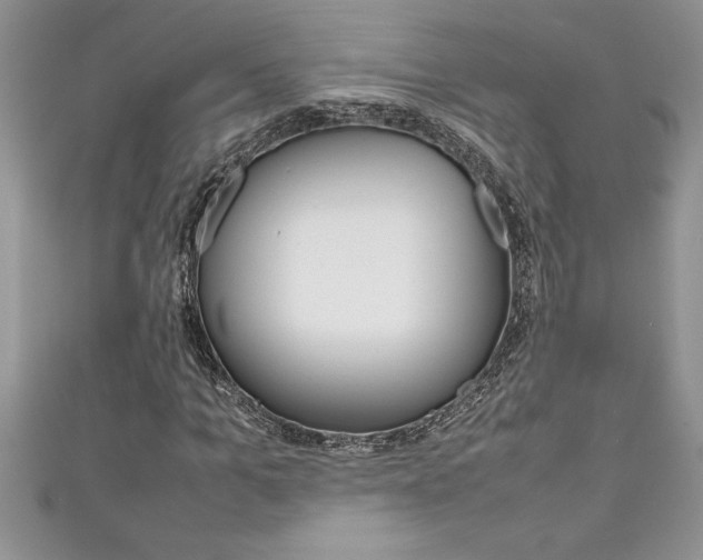 X0000111190965200907011006