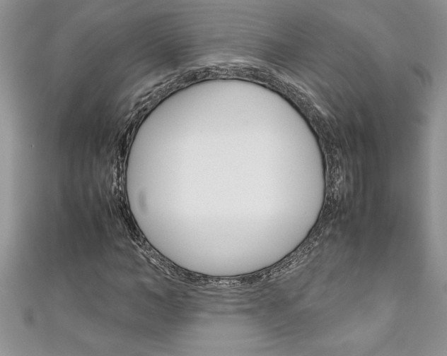 X0000111190966200907011005