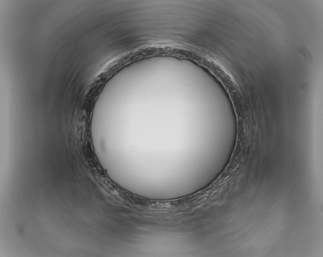X0000111190968200907011005