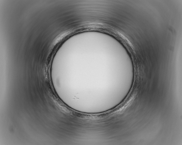 X0000111190970200907011005