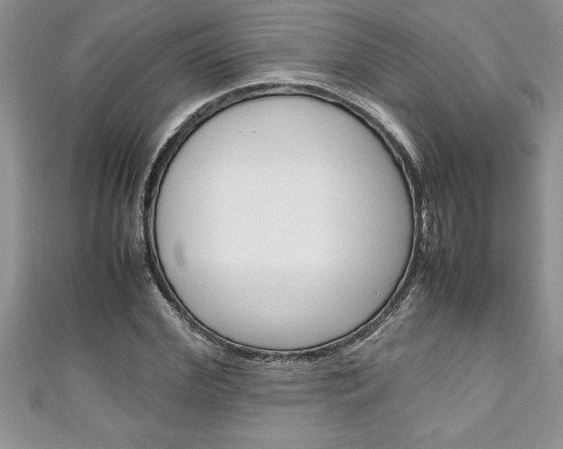 X0000111190972200907011005