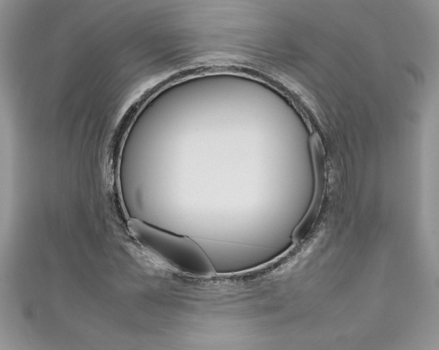 X0000111190973200907011005
